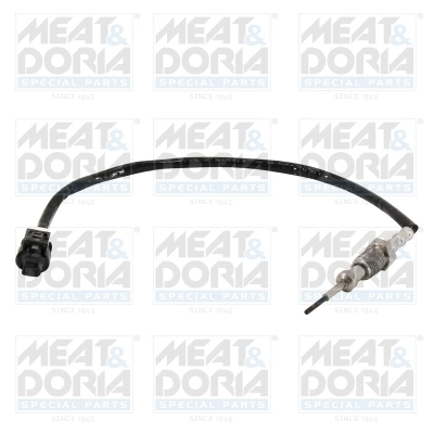 Sensor, exhaust gas temperature